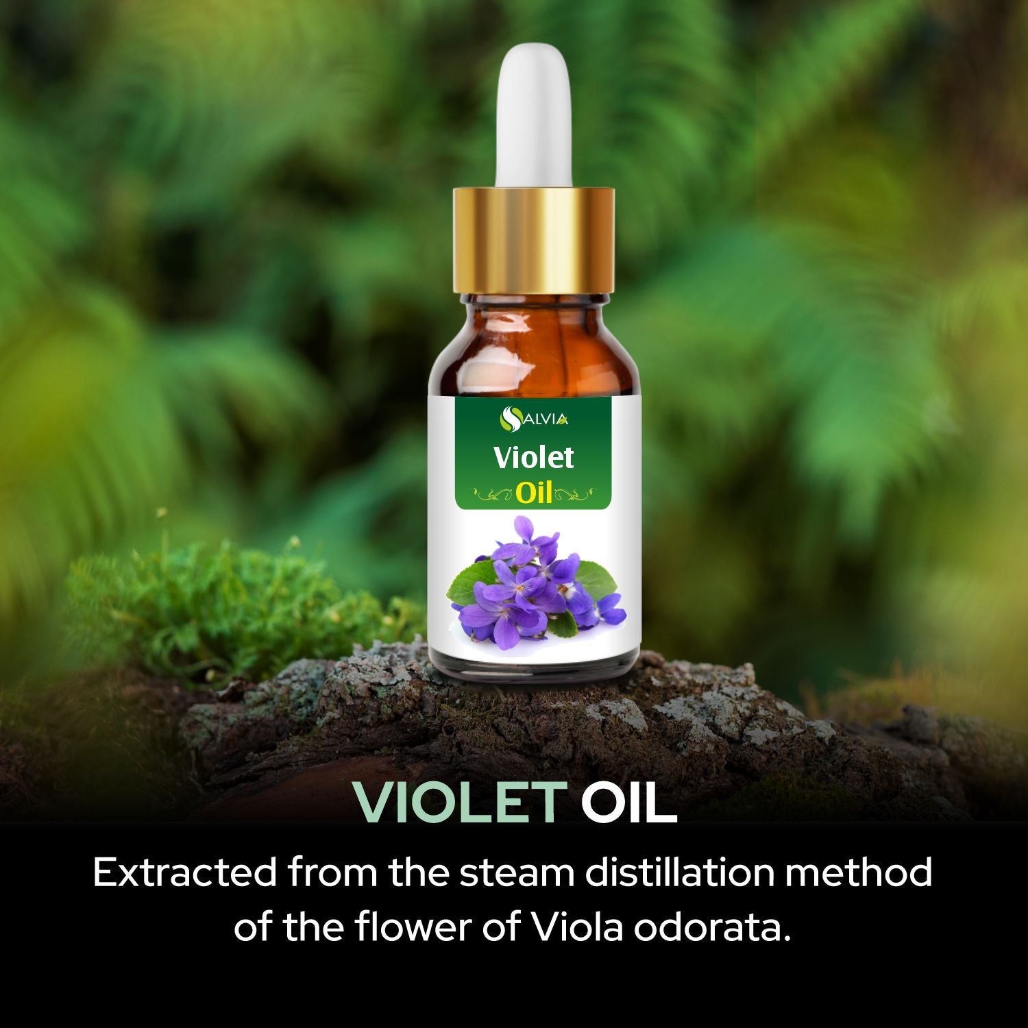 Salvia Natural Essential Oils,Dandruff,Greasy Oil,Anti Fungal,Anti-fungal Oil,Oil for Greasy Hair Violet Oil Salvia Natural Essential Oils,Dandruff,Greasy Oil,Anti Fungal,Anti-fungal Oil,Oil for Greasy Hair Violet Oil